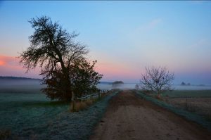 Melancholijny krajobraz_1M_Hradec K